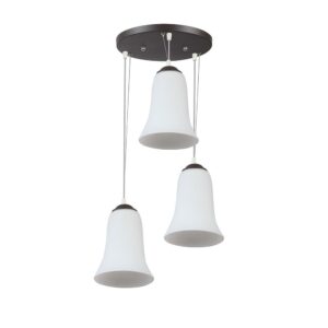 LEARC Designer Lighting Wrought Iron Rustic Finish Pendant HL4070-3