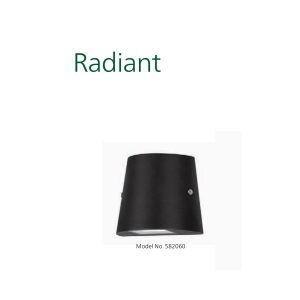 PHILIPS 582060 RADIANT ONE WAY WALL WASHER PH1537
