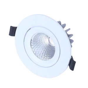 LEARC aluminium white finish 30 watt LED down light with Bridgelux COB and Philips Driver TR1865